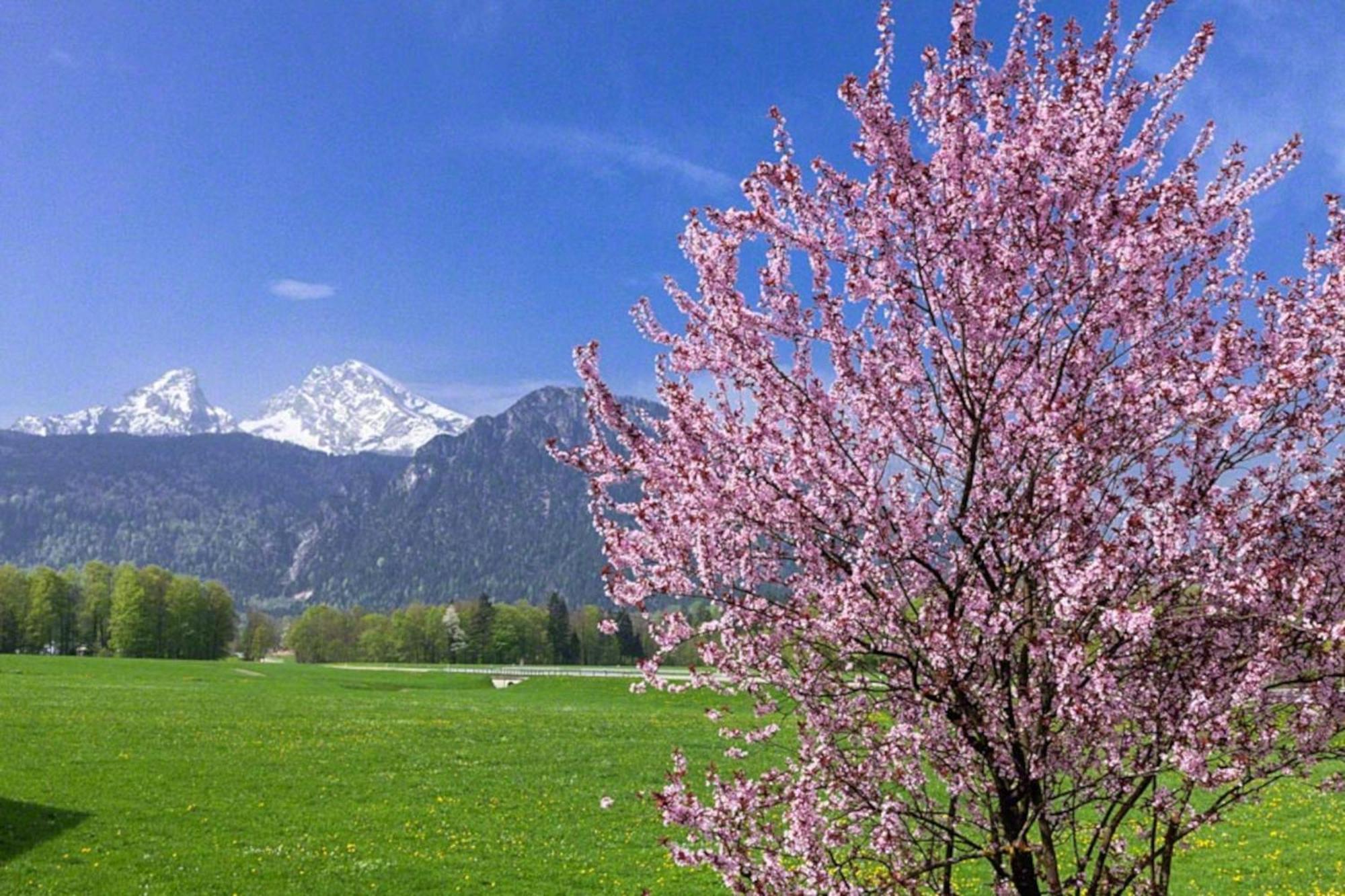 Ferienwohnung Triembachhof Schönau am Königssee Buitenkant foto